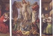 Sandro Botticelli Transfiguration,with St Jerome(at left) and St Augustine(at right) oil painting